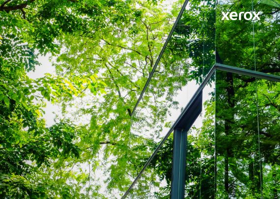 Reflection of trees visible in the glass facade of a modern building, creating a harmonious blend of nature and architecture. Reflection of trees visible in the glass facade of a modern building, creating a harmonious blend of nature and architecture.